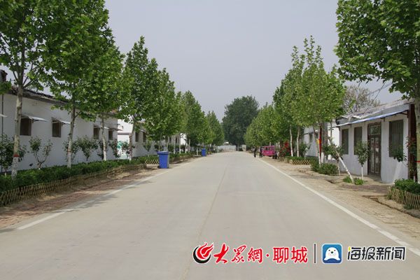 东昌府区侯营镇:盘活500余亩闲置土地 建设富美人居环境